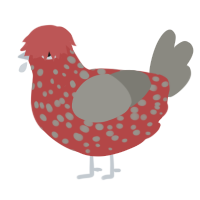 A red and ash chicken with a speckle pattern