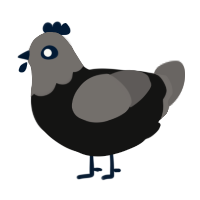 Ghost, a black and grey chicken with a head pattern