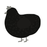 A black and sable chicken with a speckle pattern