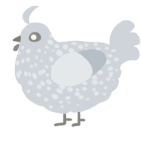A mist chicken with a speckle pattern