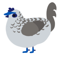 A mist and grey chicken with a half-lace pattern