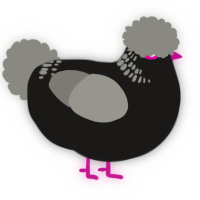 A sable and ash chicken with a neck-band pattern