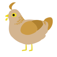 A beige and gold chicken with a neck-band pattern