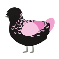 A sable and pink chicken with a half-lace pattern
