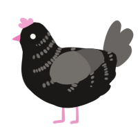 A sable and grey chicken with a half-bar pattern