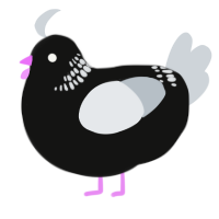 A black and mist chicken with a neck-band pattern