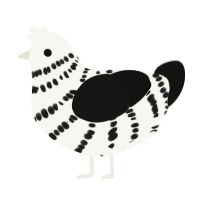 A white and black chicken with a bar pattern