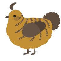 A gold and bark chicken with a half-bar pattern