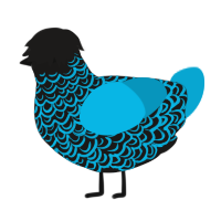 A sable and cerulean chicken with a double-lace pattern