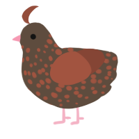 A bark and russet chicken with a speckle pattern