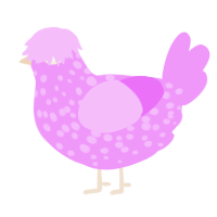 A lavender chicken with a speckle pattern
