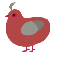 A red and ash chicken