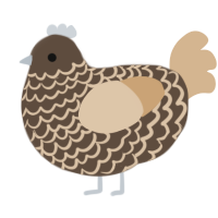 gimonure, a bark and beige chicken with a lace pattern