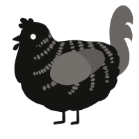 A black and grey chicken with a half-bar pattern