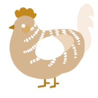 Libretto, a beige and cream chicken with a half-bar pattern