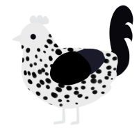A black and white chicken with a speckle pattern