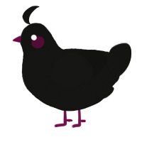 A black chicken with a double-lace pattern