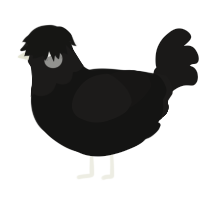 A black and sable chicken with a head pattern