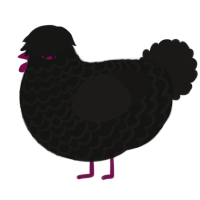 A black and sable chicken with a lace pattern