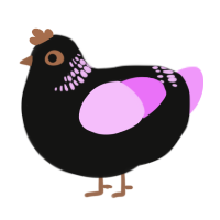 A black and lavender chicken with a neck-band pattern