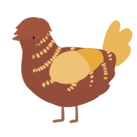 A russet and honey chicken with a half-bar pattern