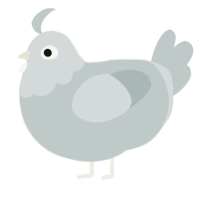 A silver chicken with a head pattern