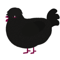 A sable and black chicken with a double-lace pattern