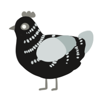 A sable and silver chicken with a half-bar pattern