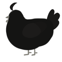 A black and sable chicken