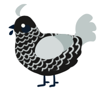 A sable and silver chicken with a lace pattern