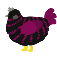 A black and wine chicken with a bar pattern