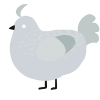 A mist and silver chicken with a half-lace pattern