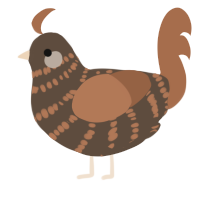 A bark and brown chicken with a bar pattern