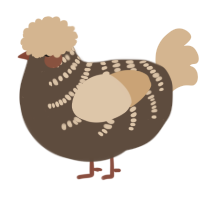 A bark and beige chicken with a half-bar pattern