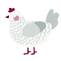 A white and silver chicken with a lace pattern