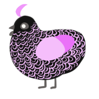 Lace, a black and lavender chicken with a double-lace pattern
