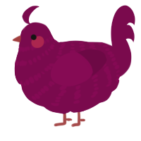 A wine chicken with a bar pattern