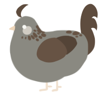 A ash and bark chicken with a neck-speckle pattern