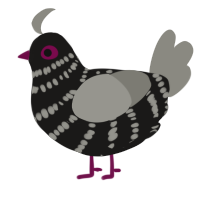 A sable and ash chicken with a bar pattern
