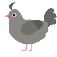 A ash and grey chicken