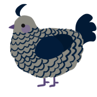 A ash and tumblr chicken with a lace pattern