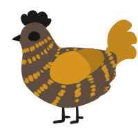 A bark and ochre chicken with a bar pattern