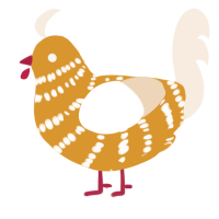 A orange and cream chicken with a bar pattern