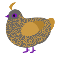 A grey and gold chicken with a double-lace pattern