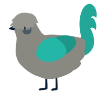 A ash and turquoise chicken