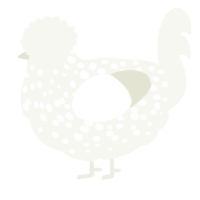 A white chicken with a speckle pattern