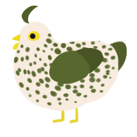 Speckle, a cream and olive chicken with a speckle pattern