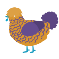 A orange and overcast chicken with a lace pattern