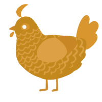 A ochre and orange chicken with a lace pattern
