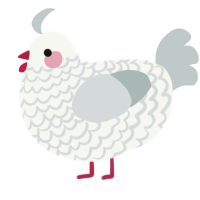 A white and silver chicken with a lace pattern